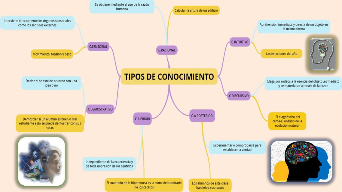 Los 16 Tipos De Conocimiento Y Sus Caracteristicas Con Ejemplos Images