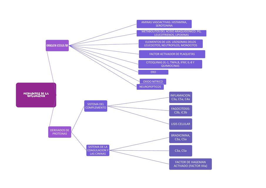 Mediadores Inflamatorios