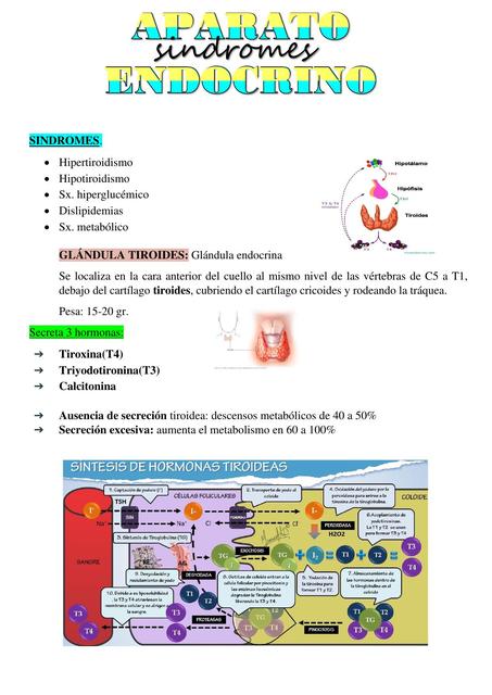 Endocrinología