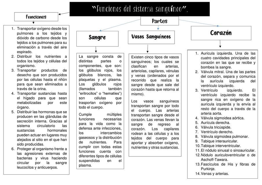 Funciones del sistema sanguineo