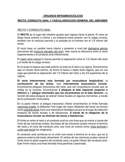 Recto Vascularización del Abdomen