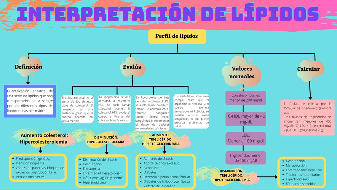 Interpretación de lípidos