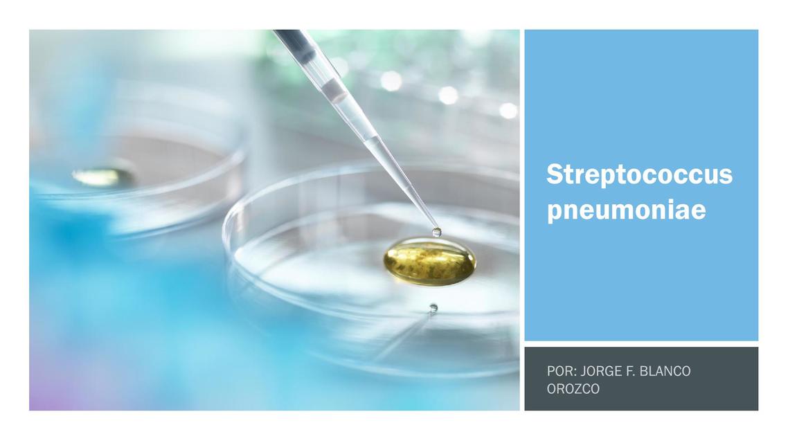 Streptococcus pneumoniae