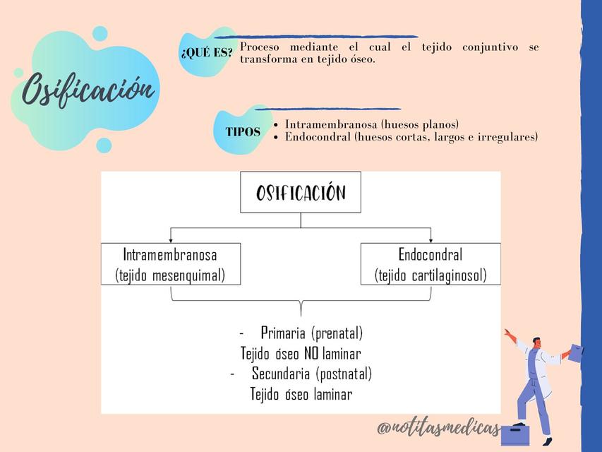 Histología de la Osificación NM Alexandra Milagros Motta Zarate uDocz