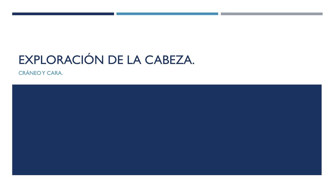 Exploración de la cabeza craneo y cara