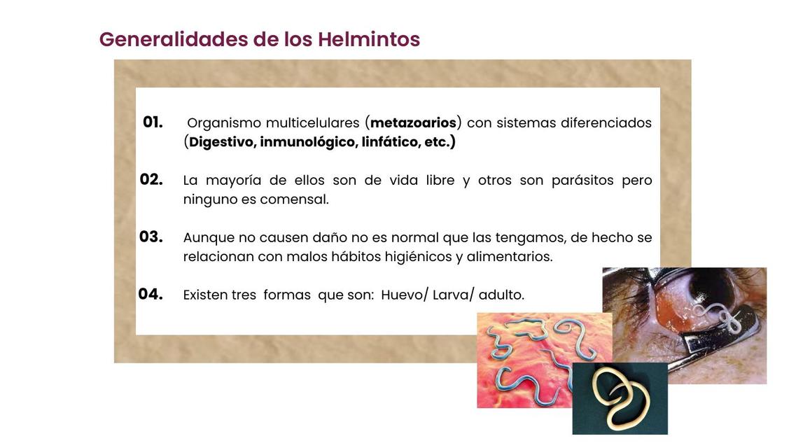 Generalidades Helmintos - Microbiología