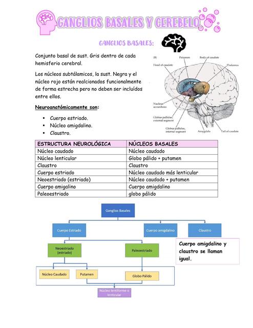GANGLIOS BASALES Y CEREBELO