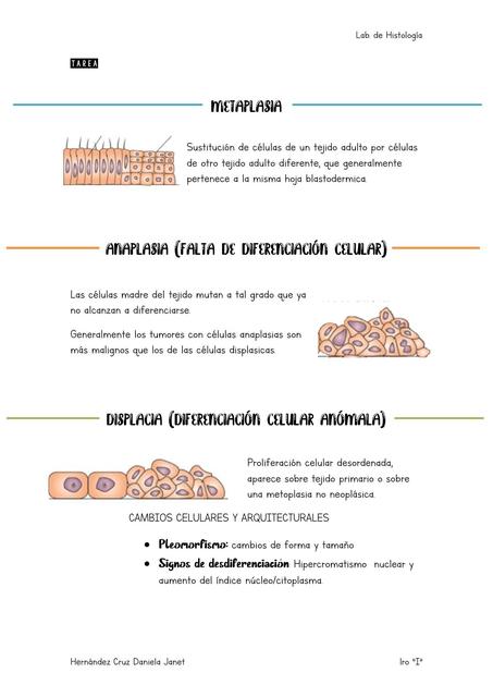 Adaptaciones celulares