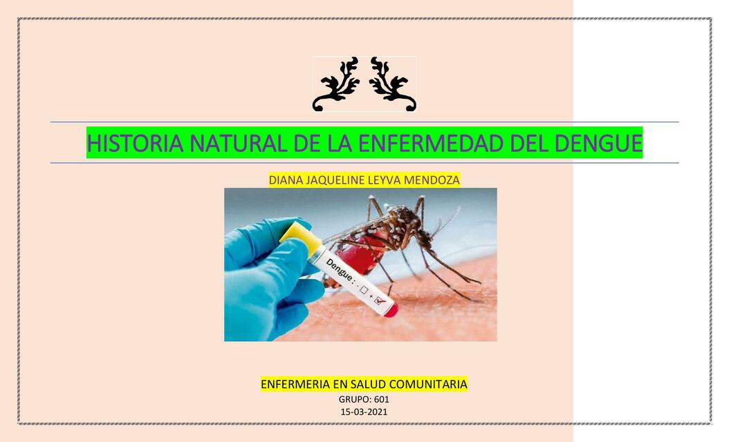 HISTORIA NATURAL DE ENFERMEDAD DEL DENGUE | Enfermeria Mi Pasión