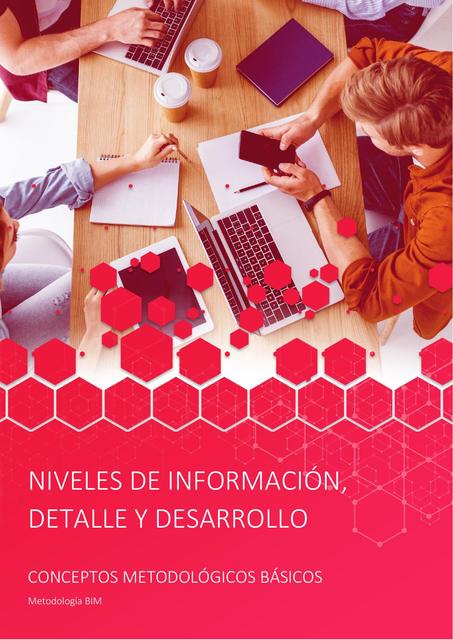 Niveles de información detalle y desarrollo