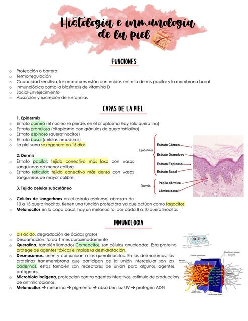 Histología e inmunidad de la piel