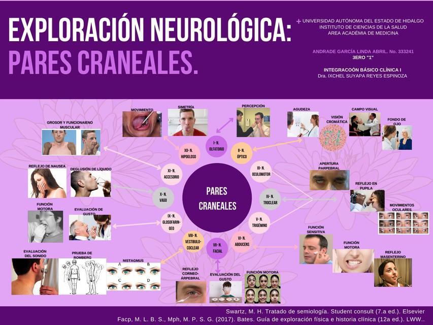 Exploración neurológica