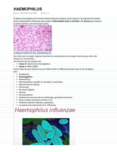 HAEMOPHILUS