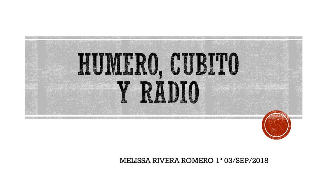 Húmero Cubito y Radio