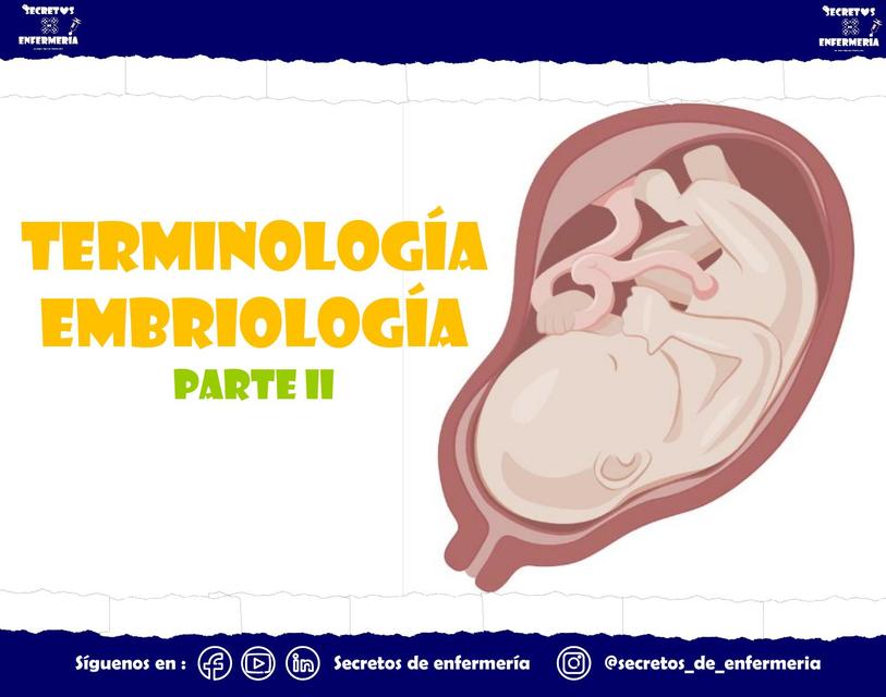 EMBRIOLOGÍA TERMINOLOGÍA II