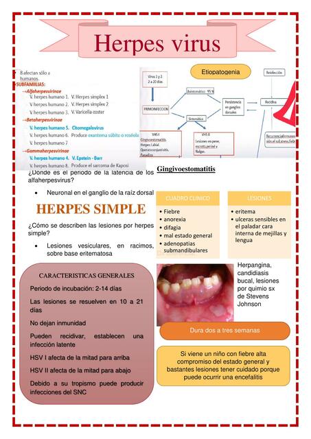 Herpes Virus en pediatría