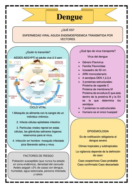 Dengue 