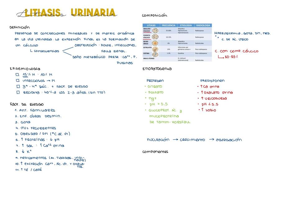 Litiasis Renal