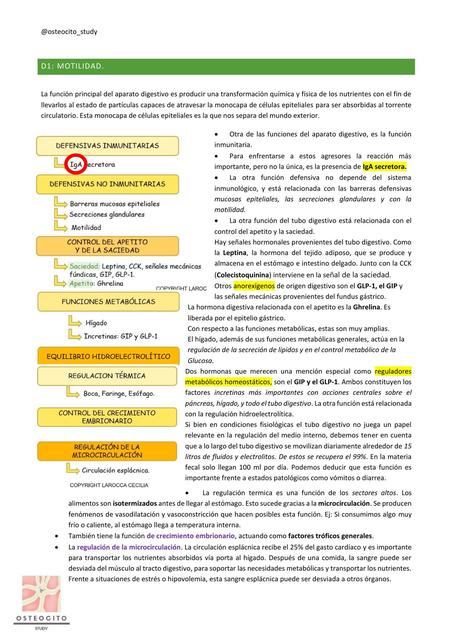 1Fisiología digestiva motilidad