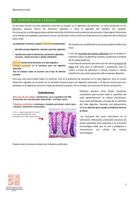 Fisiología digestiva secreción