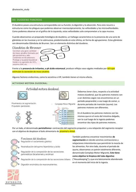 Fisiología digestiva duodeno páncreas