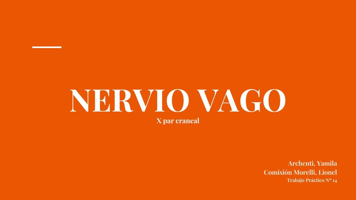 Nervio Vago Yamila Archenti uDocz