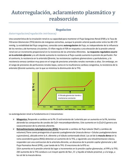 Autoregulacion aclaramiento plasmatico y reabsorcion