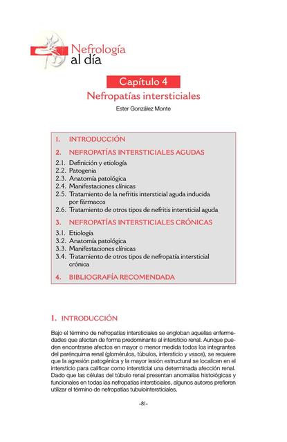 Nefropatias intersticiales