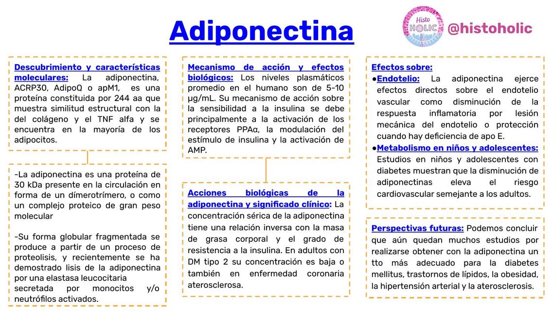 Esquema de Adiponectina - Bioquímica