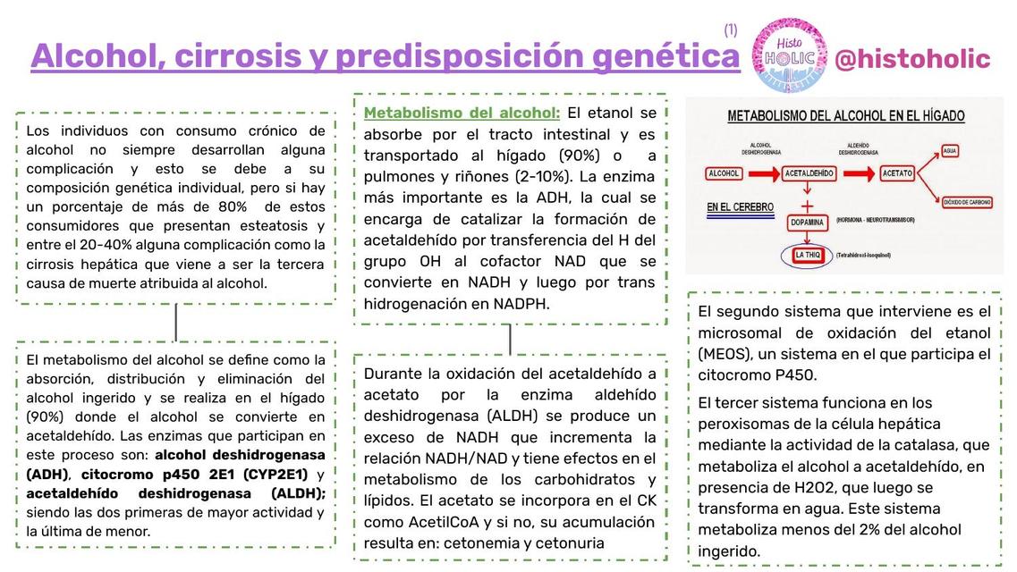 Esquema de Alcohol Cirrosis y Predisposición genética - Patología