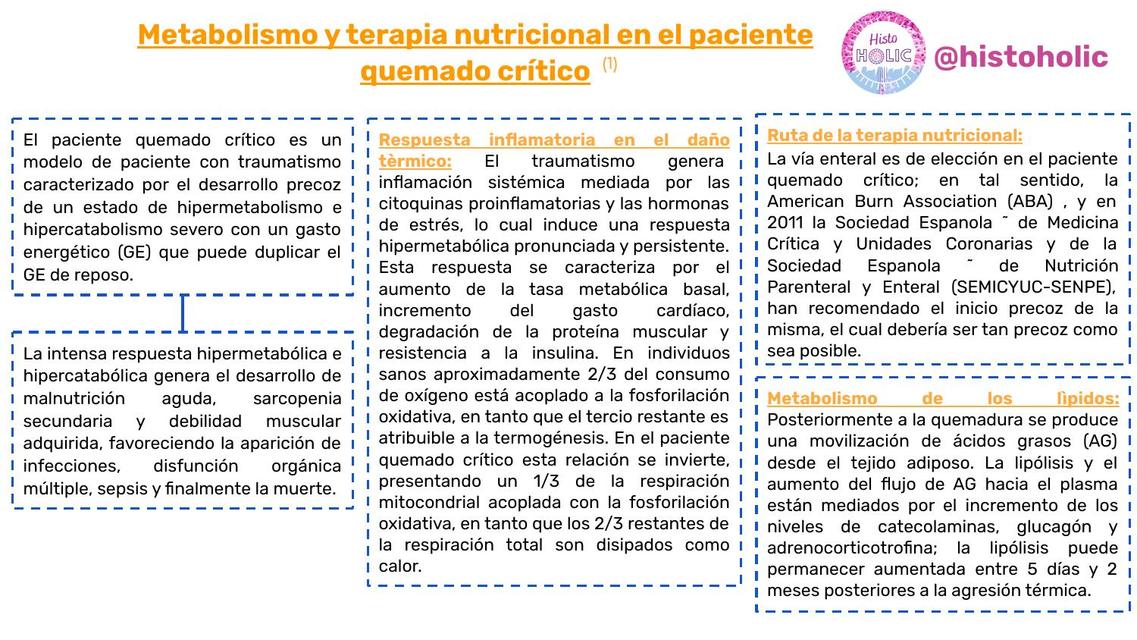 Esquema de Metabolismo y terapia nutricional en el paciente quemado crítico - Bioquímica