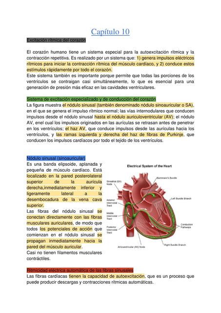 Fisiología Cardiaca 