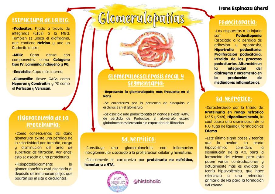 Glomerulopatías