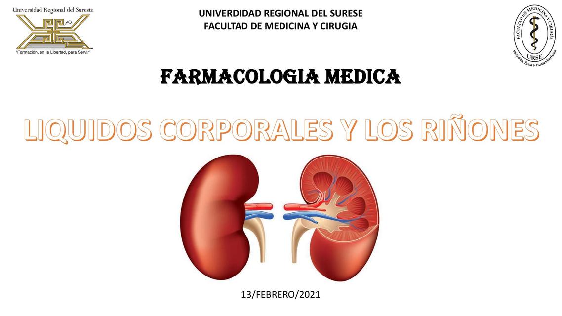 FISIOLOGIA RENAL (Líquidos corporales)