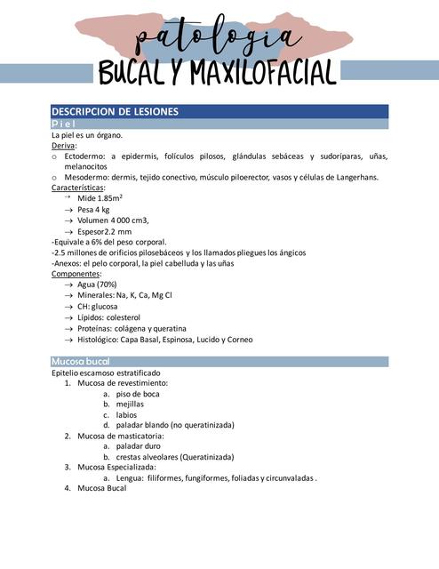 apuntes patologia bucal y Maxilofacial