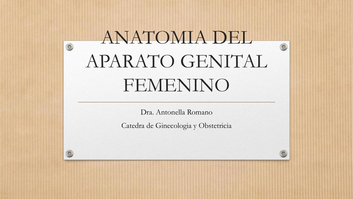 Anatomía del Aparato Genital Femenino