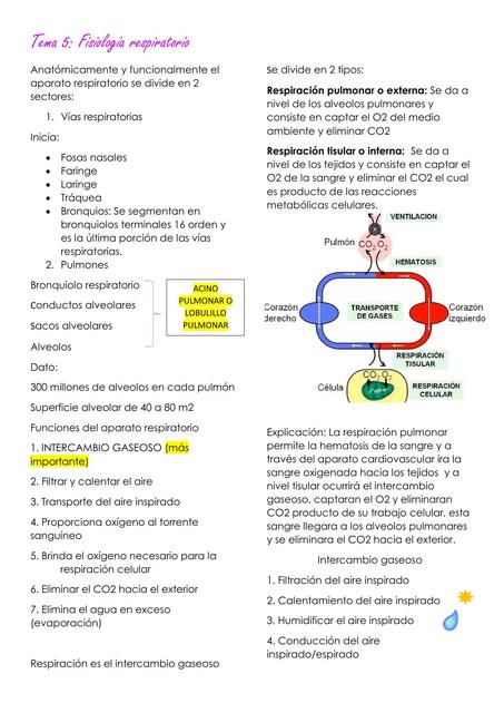 Fisiologia Respiratorio