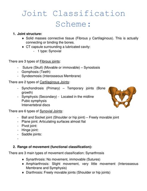 Joint Classification Scheme | Bianca Pacheco | uDocz