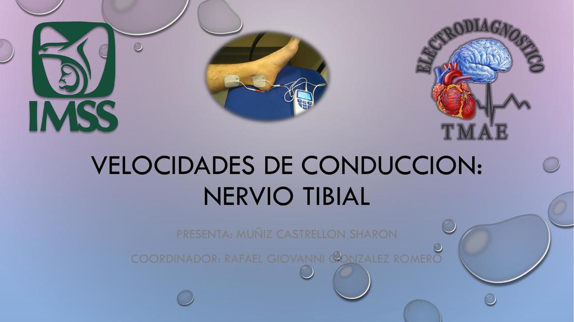 Velocidades de Conducción Nervio Tibial