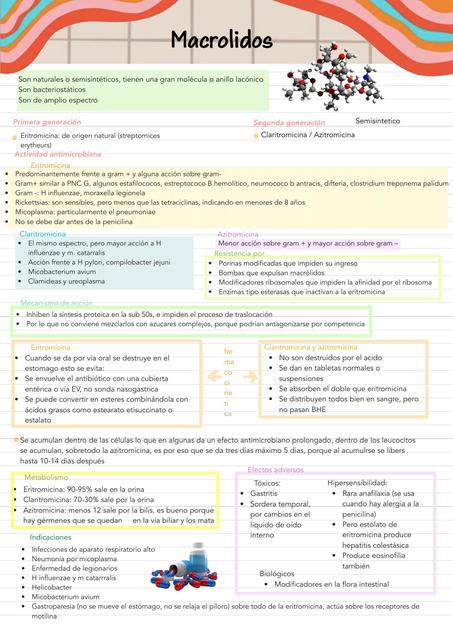 Resumen de Macrolidos
