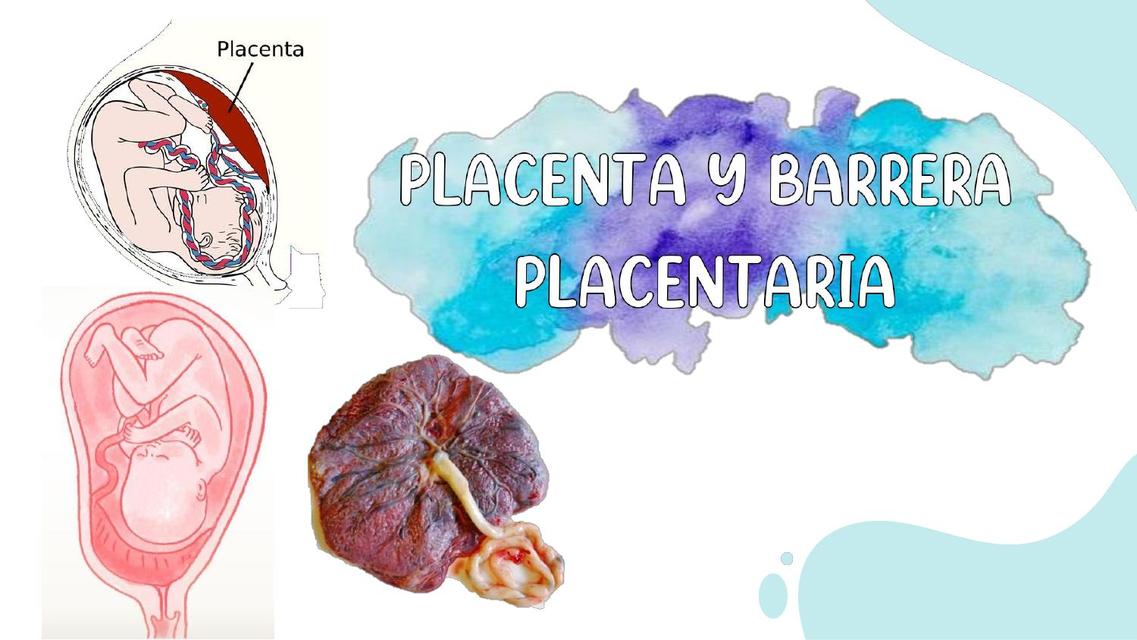 Placenta y Barrera Placentaria