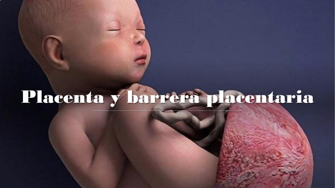 Placenta y barrera placentaria