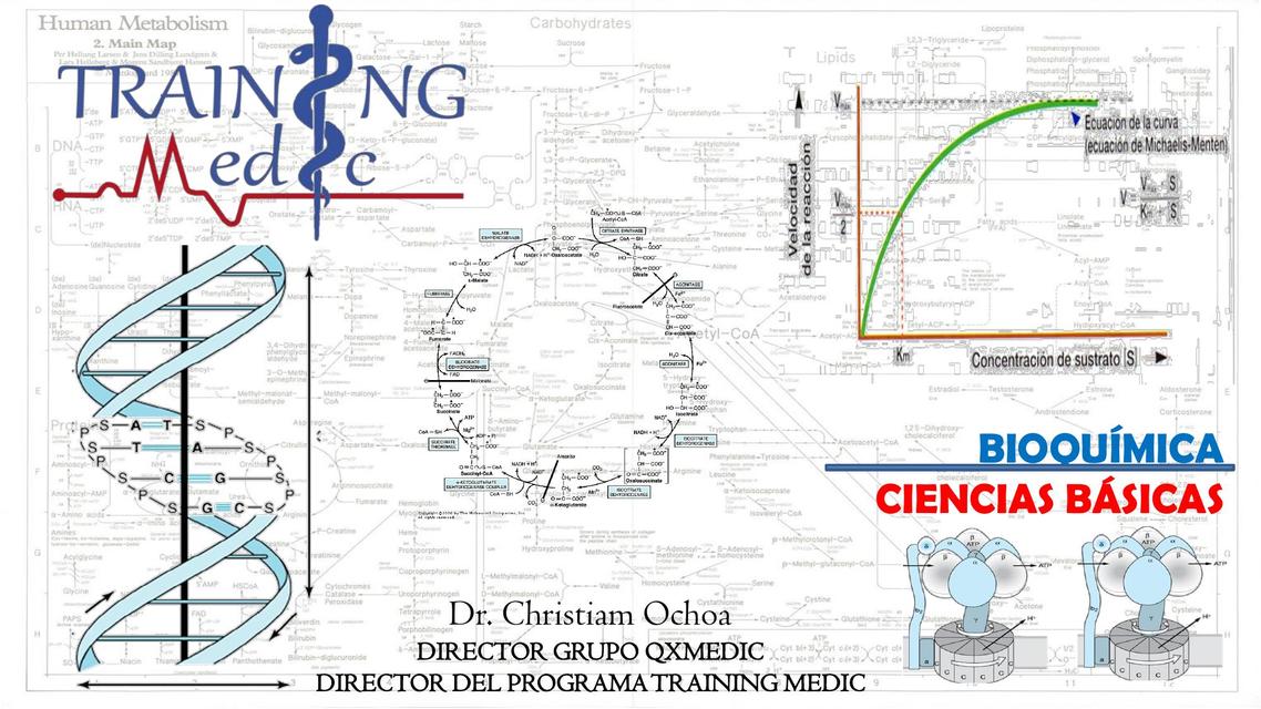 Clasificación de Enzimas