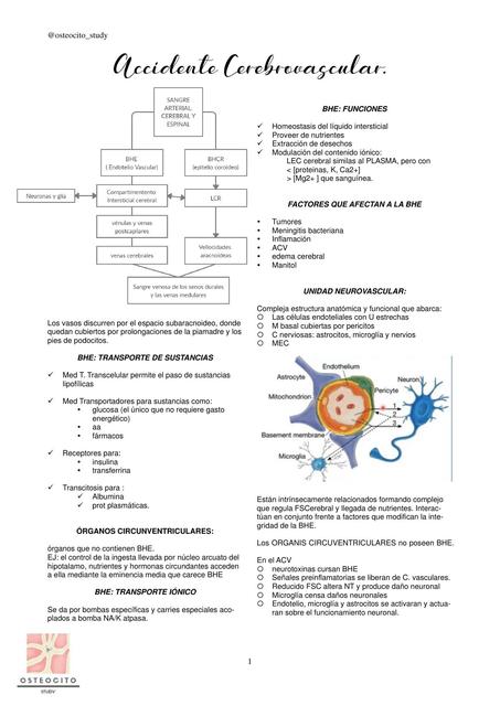  Accidente cerebro vascular