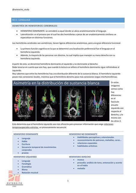 Neurología