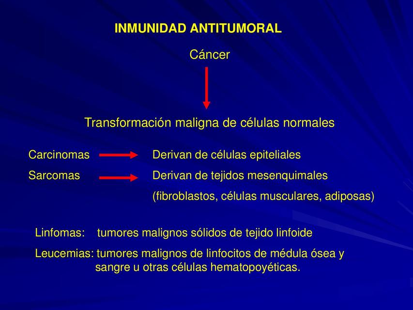 Inmunidad frente a tumores