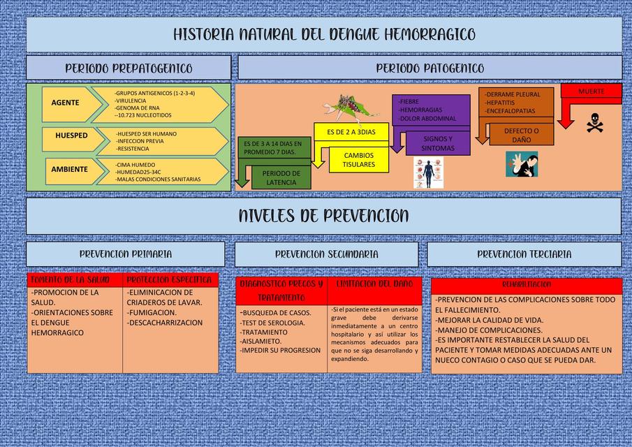 Historia del Dengue