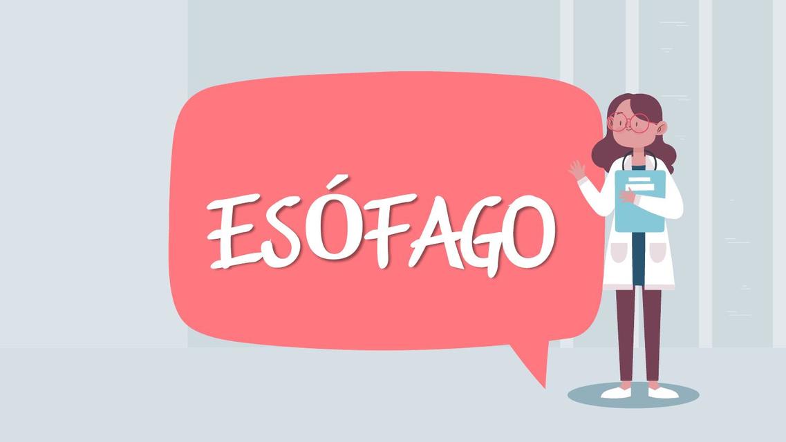 Esófago y estomago