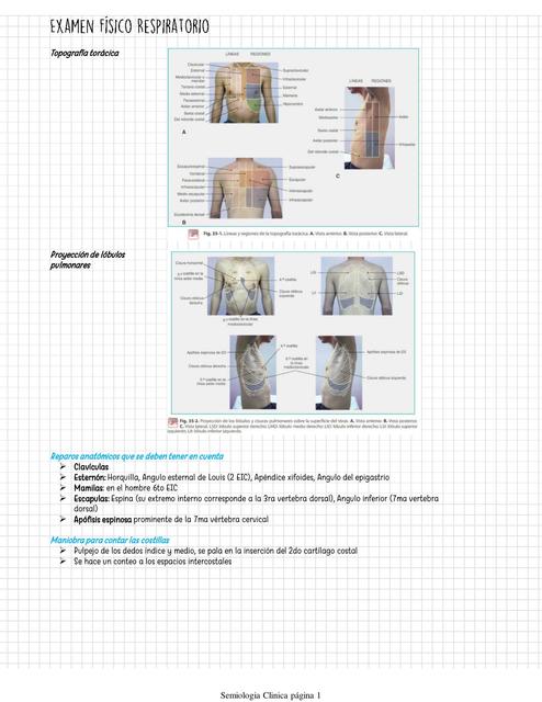 Examen Físico Respiratorio