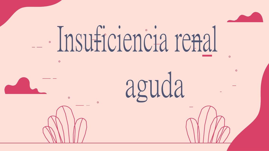 Insuficiencia renal aguda